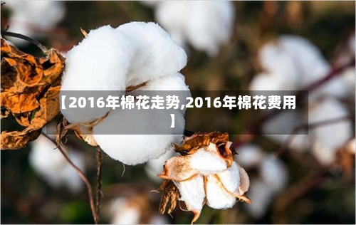 【2016年棉花走势,2016年棉花费用】-第2张图片