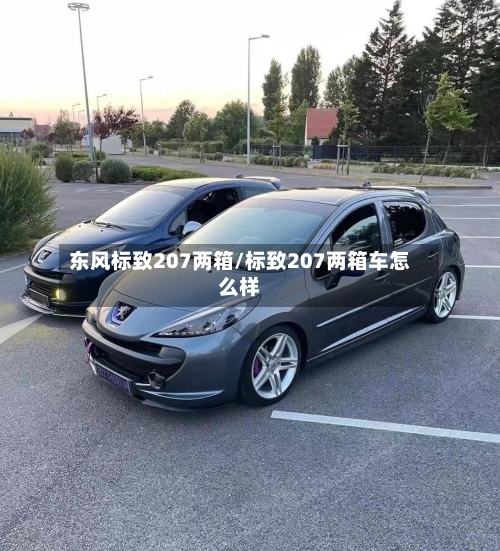 东风标致207两箱/标致207两箱车怎么样-第3张图片
