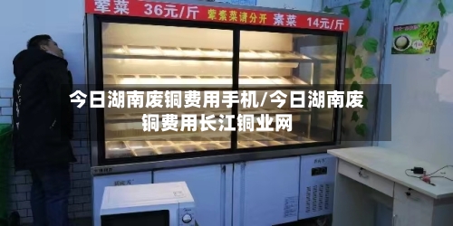 今日湖南废铜费用手机/今日湖南废铜费用长江铜业网-第1张图片