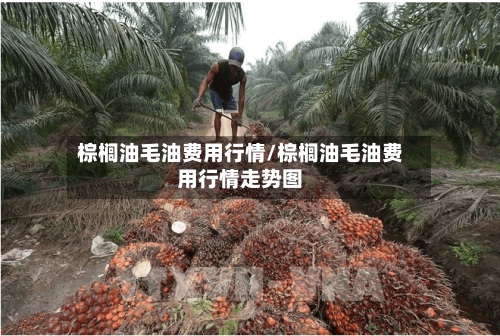 棕榈油毛油费用行情/棕榈油毛油费用行情走势图-第1张图片