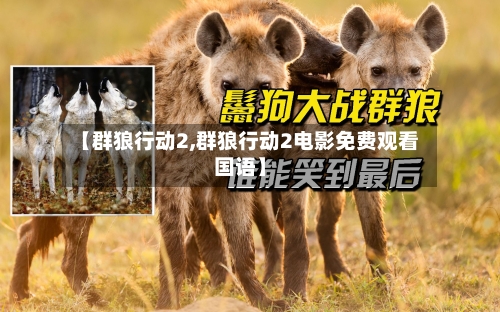 【群狼行动2,群狼行动2电影免费观看国语】-第1张图片