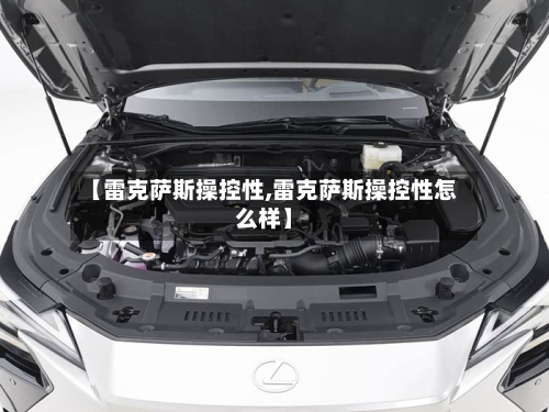 【雷克萨斯操控性,雷克萨斯操控性怎么样】-第1张图片