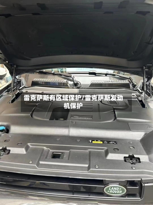 雷克萨斯有区域保护/雷克萨斯发动机保护-第2张图片