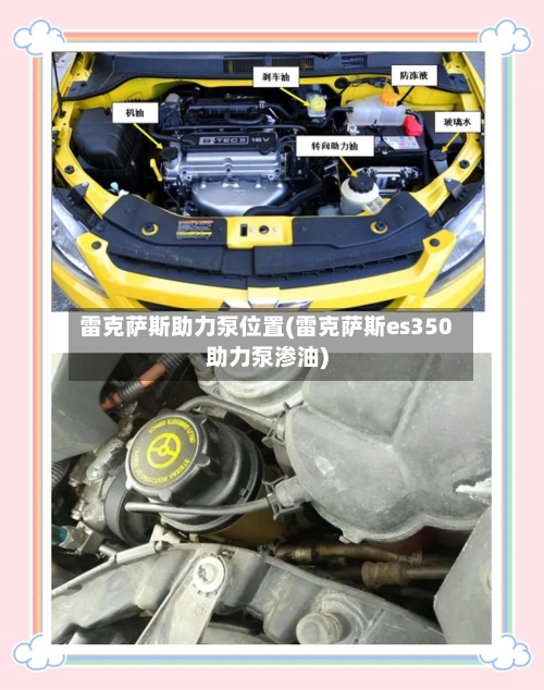 雷克萨斯助力泵位置(雷克萨斯es350助力泵渗油)-第2张图片