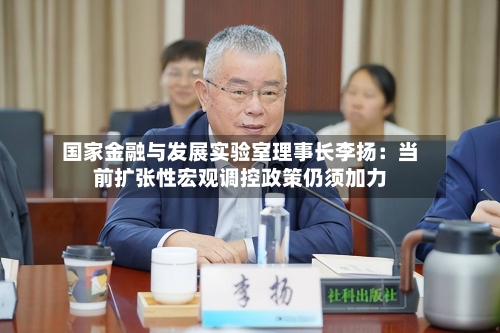 国家金融与发展实验室理事长李扬：当前扩张性宏观调控政策仍须加力-第2张图片
