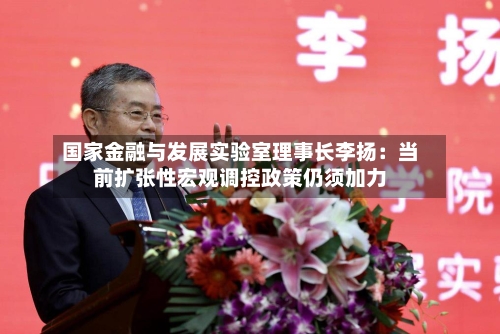 国家金融与发展实验室理事长李扬：当前扩张性宏观调控政策仍须加力-第1张图片