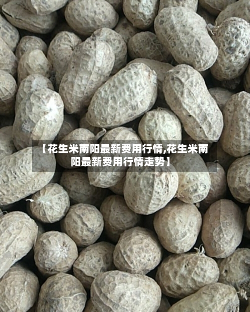【花生米南阳最新费用行情,花生米南阳最新费用行情走势】-第2张图片