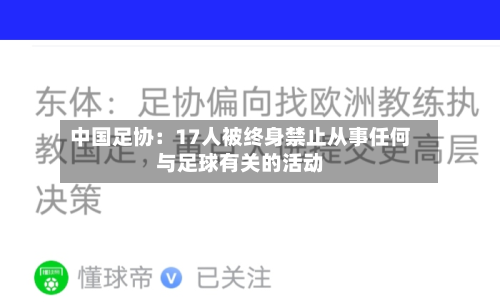中国足协：17人被终身禁止从事任何与足球有关的活动-第2张图片