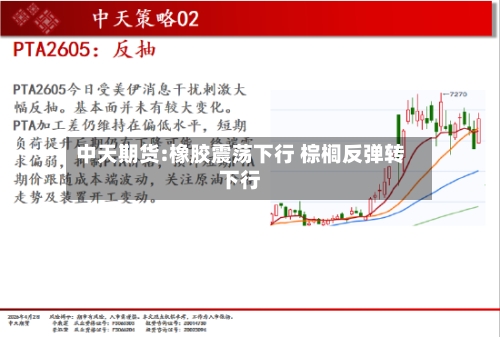 中天期货:橡胶震荡下行 棕榈反弹转下行-第1张图片