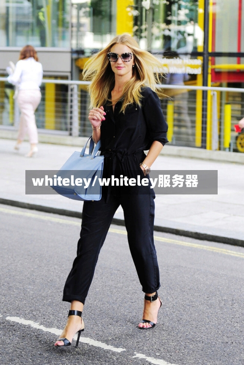 whiteley/whiteley服务器-第2张图片