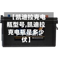 【凯迪拉克电瓶型号,凯迪拉克电瓶是多少伏】-第2张图片