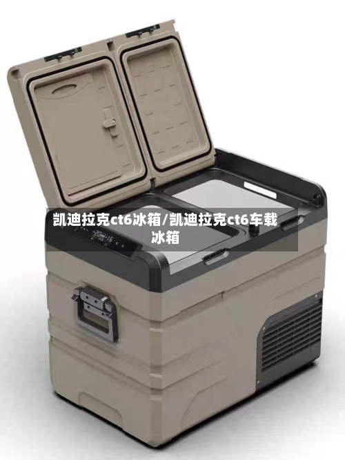 凯迪拉克ct6冰箱/凯迪拉克ct6车载冰箱-第2张图片