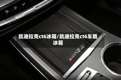 凯迪拉克ct6冰箱/凯迪拉克ct6车载冰箱-第1张图片