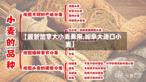 【最新加拿大小麦费用,加拿大进口小麦】-第2张图片