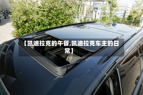 【凯迪拉克的午餐,凯迪拉克车主的日常】-第1张图片