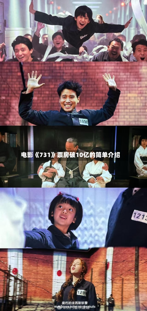 电影《731》票房破10亿的简单介绍-第3张图片