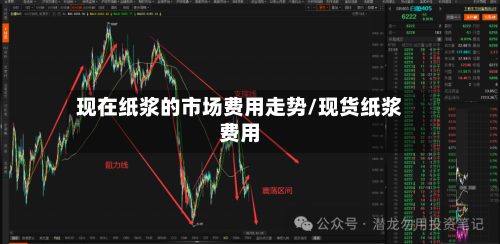 现在纸浆的市场费用走势/现货纸浆费用-第2张图片
