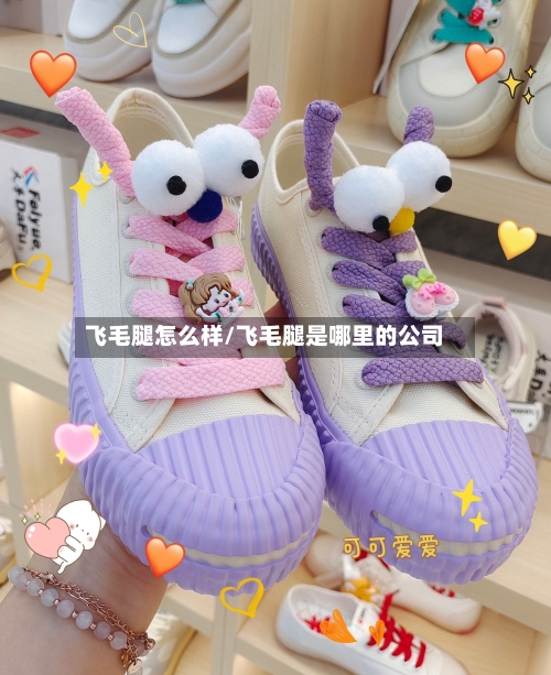 飞毛腿怎么样/飞毛腿是哪里的公司-第2张图片
