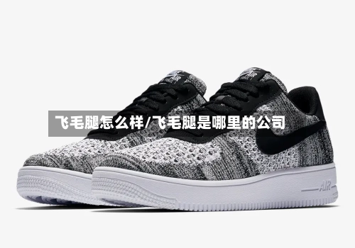 飞毛腿怎么样/飞毛腿是哪里的公司-第1张图片