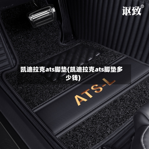 凯迪拉克ats脚垫(凯迪拉克ats脚垫多少钱)-第2张图片