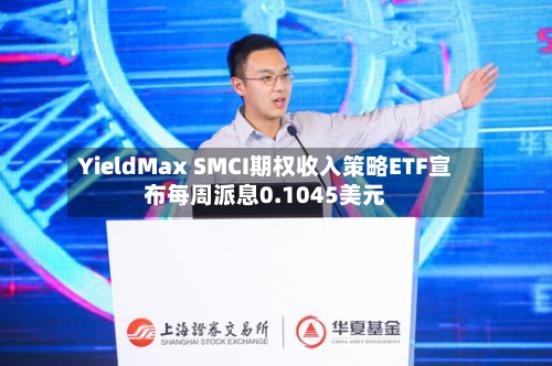 YieldMax SMCI期权收入策略ETF宣布每周派息0.1045美元-第2张图片
