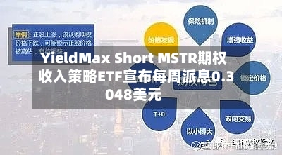 YieldMax Short MSTR期权收入策略ETF宣布每周派息0.3048美元-第1张图片
