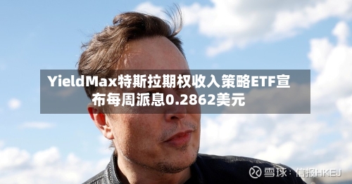 YieldMax特斯拉期权收入策略ETF宣布每周派息0.2862美元-第1张图片