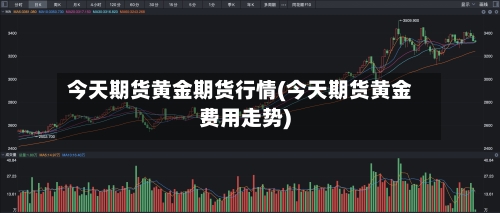 今天期货黄金期货行情(今天期货黄金费用走势)-第3张图片