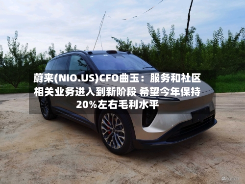 蔚来(NIO.US)CFO曲玉：服务和社区相关业务进入到新阶段 希望今年保持20%左右毛利水平-第1张图片