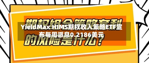 YieldMax HIMS期权收入策略ETF宣布每周派息0.2186美元-第2张图片