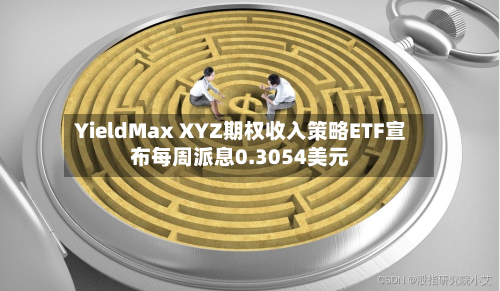YieldMax XYZ期权收入策略ETF宣布每周派息0.3054美元-第2张图片