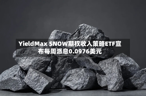 YieldMax SNOW期权收入策略ETF宣布每周派息0.0976美元-第1张图片