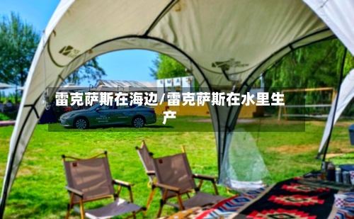 雷克萨斯在海边/雷克萨斯在水里生产-第1张图片