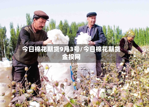 今日棉花期货9月3号/今日棉花期货金投网-第2张图片