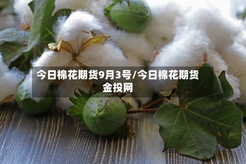 今日棉花期货9月3号/今日棉花期货金投网-第1张图片