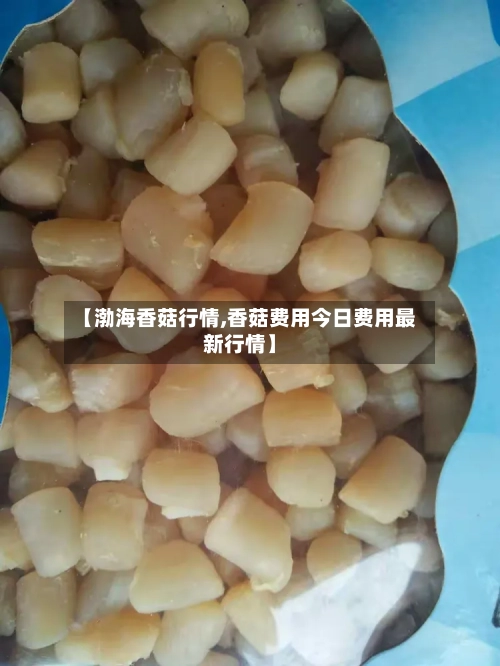 【渤海香菇行情,香菇费用今日费用最新行情】-第3张图片