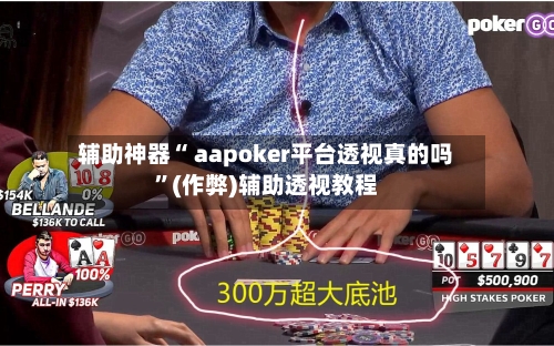 辅助神器“ aapoker平台透视真的吗”(作弊)辅助透视教程-第2张图片