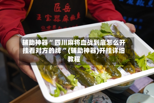 辅助神器“ 四川麻将血战到底怎么开挂看对方的牌 	”(辅助神器)开挂详细教程-第3张图片
