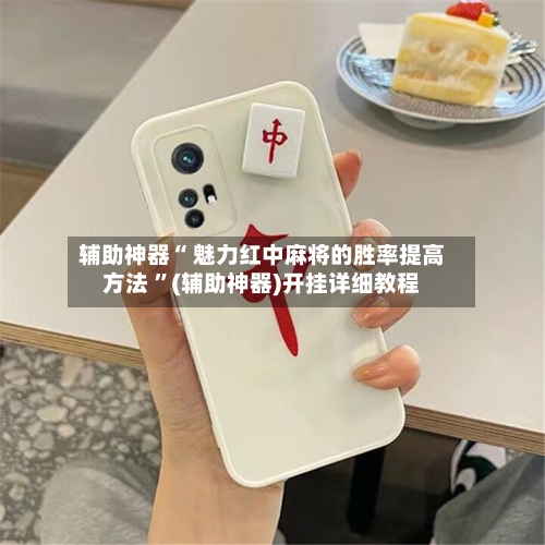 辅助神器“ 魅力红中麻将的胜率提高方法 ”(辅助神器)开挂详细教程-第2张图片
