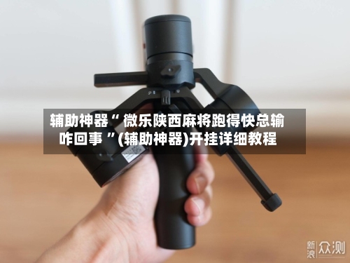 辅助神器“ 微乐陕西麻将跑得快总输咋回事 	”(辅助神器)开挂详细教程-第1张图片