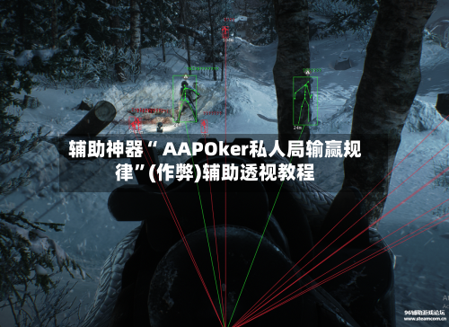 辅助神器“ AAPOker私人局输赢规律”(作弊)辅助透视教程-第3张图片