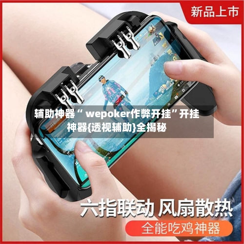 辅助神器“ wepoker作弊开挂	”开挂神器{透视辅助}全揭秘-第1张图片