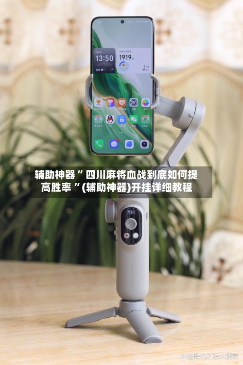 辅助神器“ 四川麻将血战到底如何提高胜率 ”(辅助神器)开挂详细教程-第2张图片