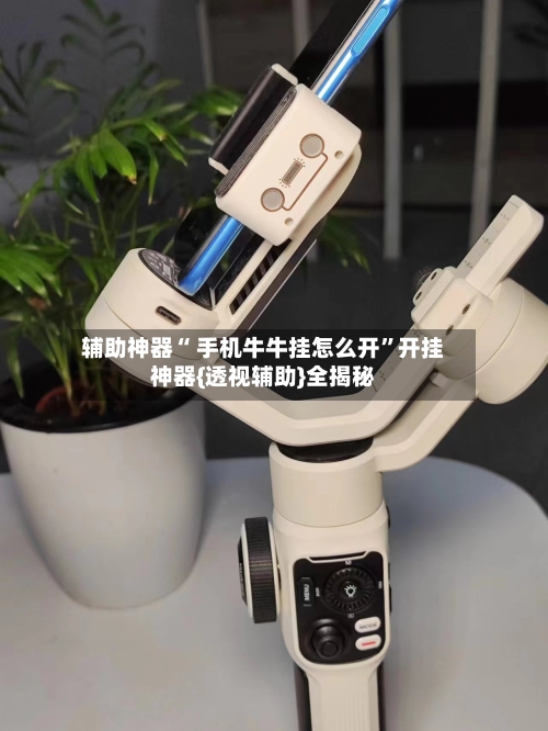 辅助神器“ 手机牛牛挂怎么开	”开挂神器{透视辅助}全揭秘-第1张图片