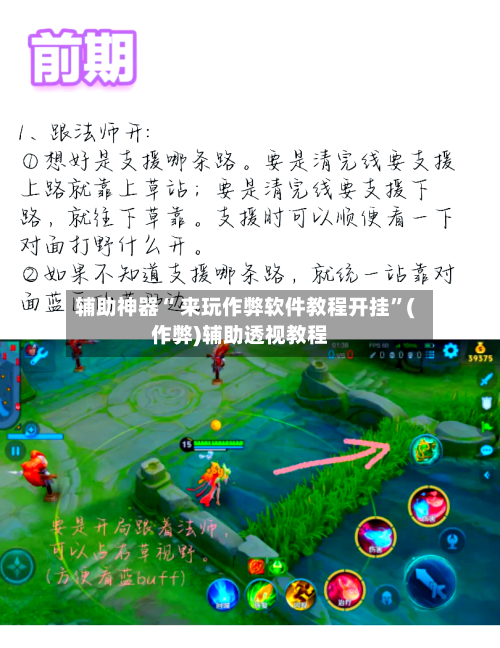 辅助神器“ 来玩作弊软件教程开挂”(作弊)辅助透视教程-第2张图片
