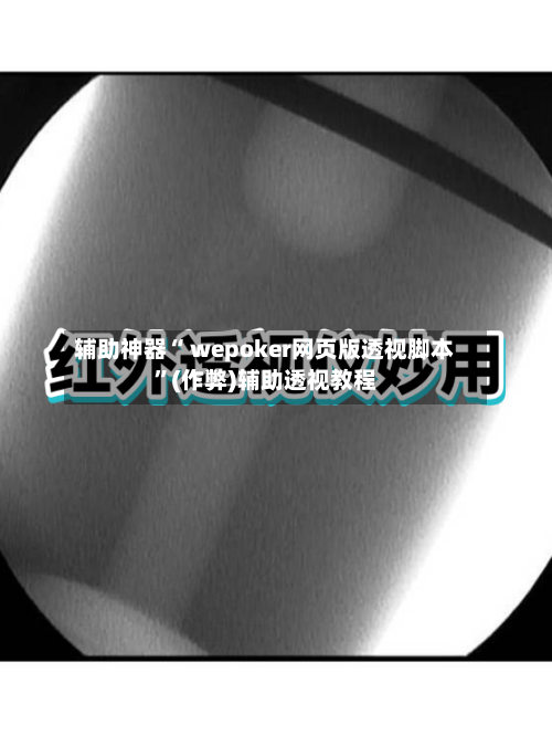 辅助神器“ wepoker网页版透视脚本	”(作弊)辅助透视教程-第1张图片