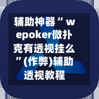 辅助神器“ wepoker微扑克有透视挂么	”(作弊)辅助透视教程-第1张图片