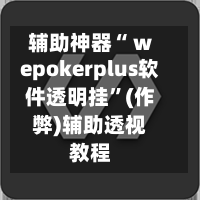 辅助神器“ wepokerplus软件透明挂	”(作弊)辅助透视教程-第2张图片