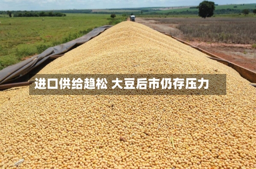 进口供给趋松 大豆后市仍存压力-第2张图片