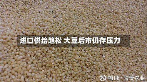 进口供给趋松 大豆后市仍存压力-第3张图片